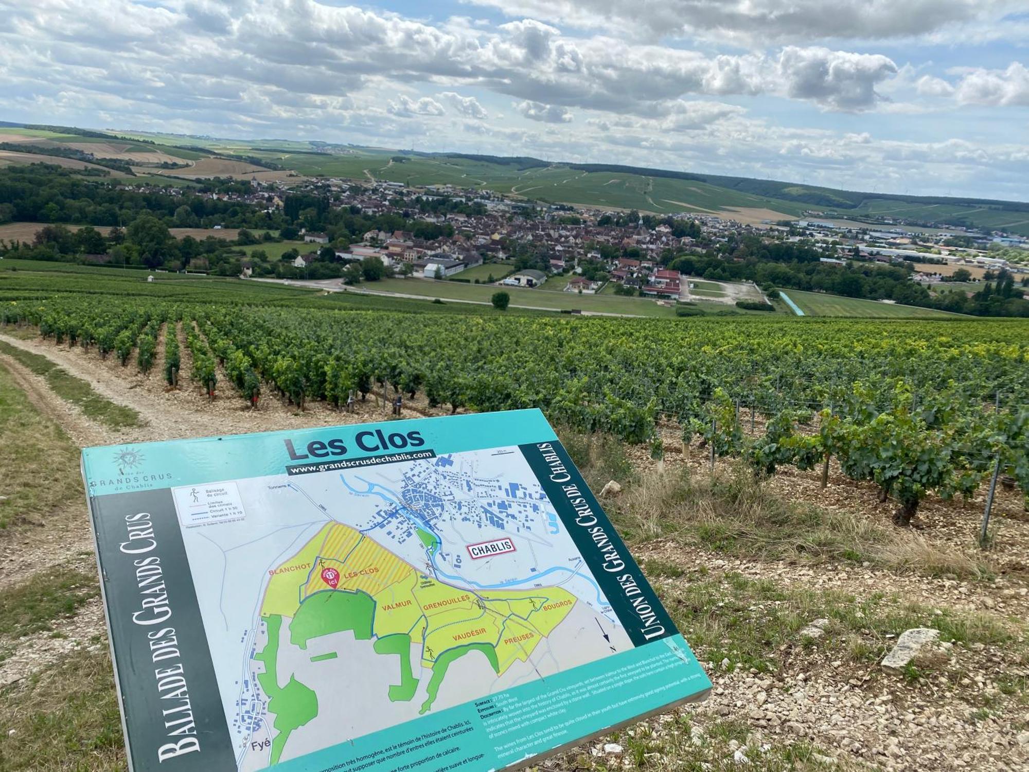 Le Merrain Gite Plein Coeur De Chablis Exteriör bild